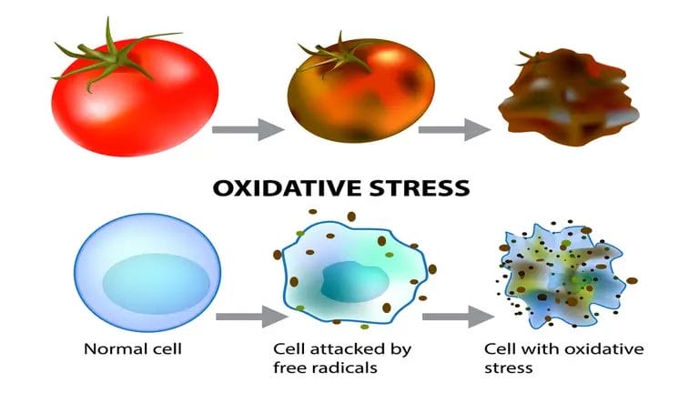 Oxidation Process