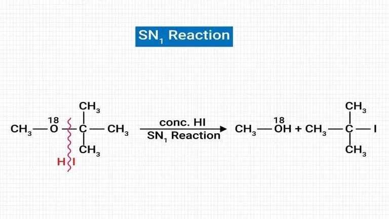 What Is Sn1 Reaction