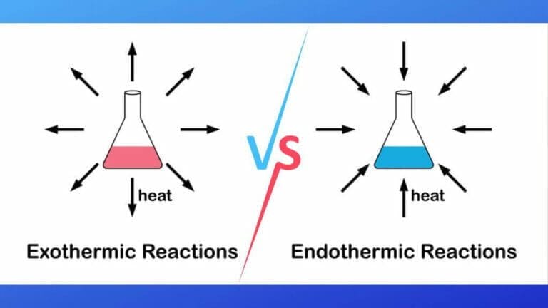 What Is The Difference Between Endothermic And Exothermic Reactions? Difference Between Endothermic And Exothermic Reactions