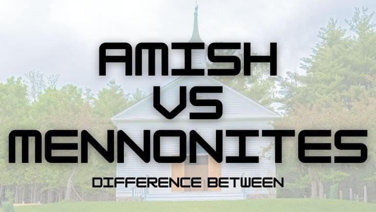 Difference Between Amish And Mennonites