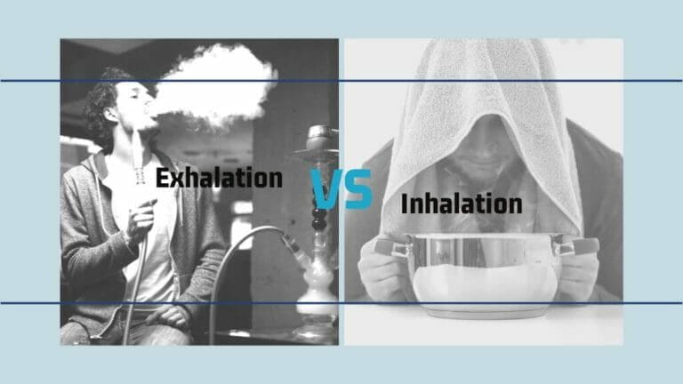 Difference Between Exhalation And Inhalation