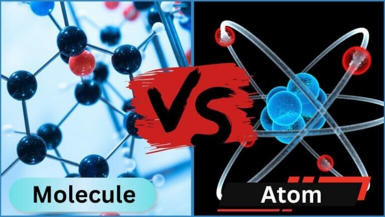 What Is The Difference Between A Molecule And An Atom