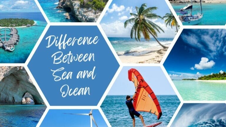 What Is The Difference Between Sea And Ocean?